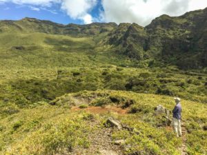 Crater Paliku Cabin Area Scenic Hiker